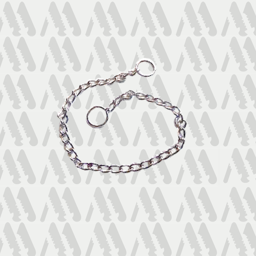 Collar paseo perro